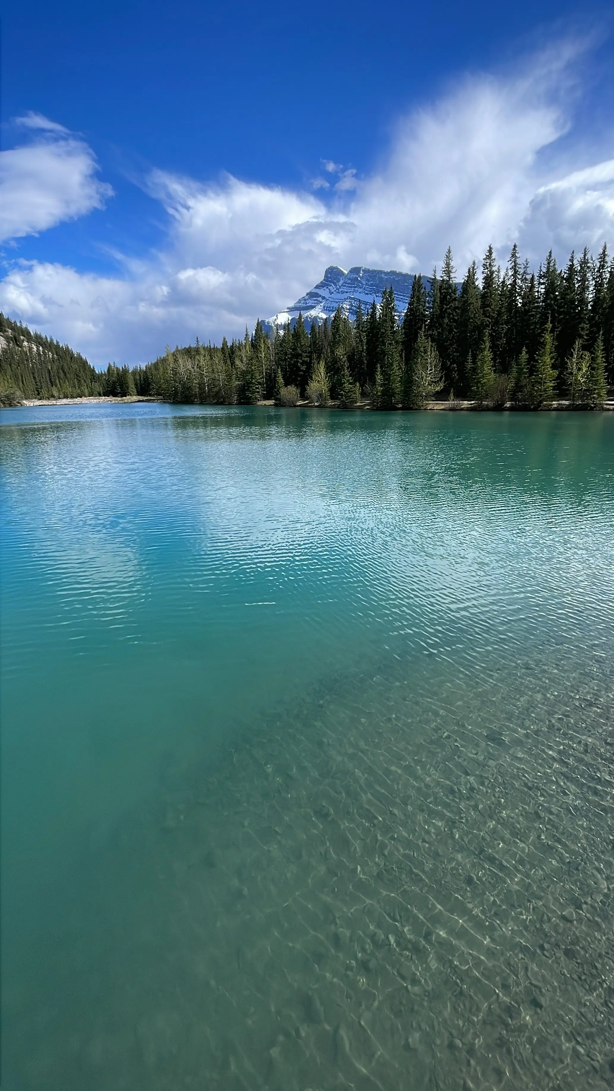 Le Monde de Chloé © 2024 | Canada | Alberta | Banff