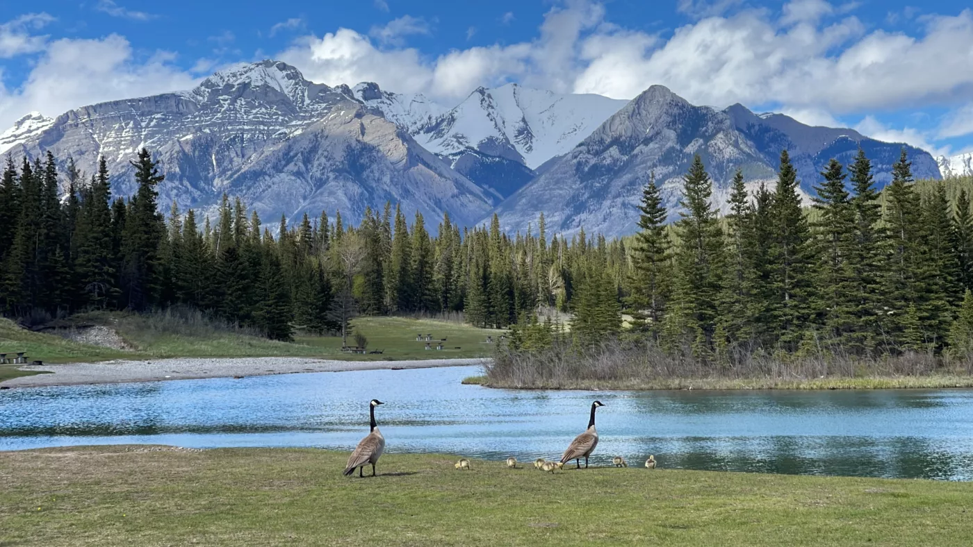 Le Monde de Chloé © 2024 | Canada | Alberta | Banff