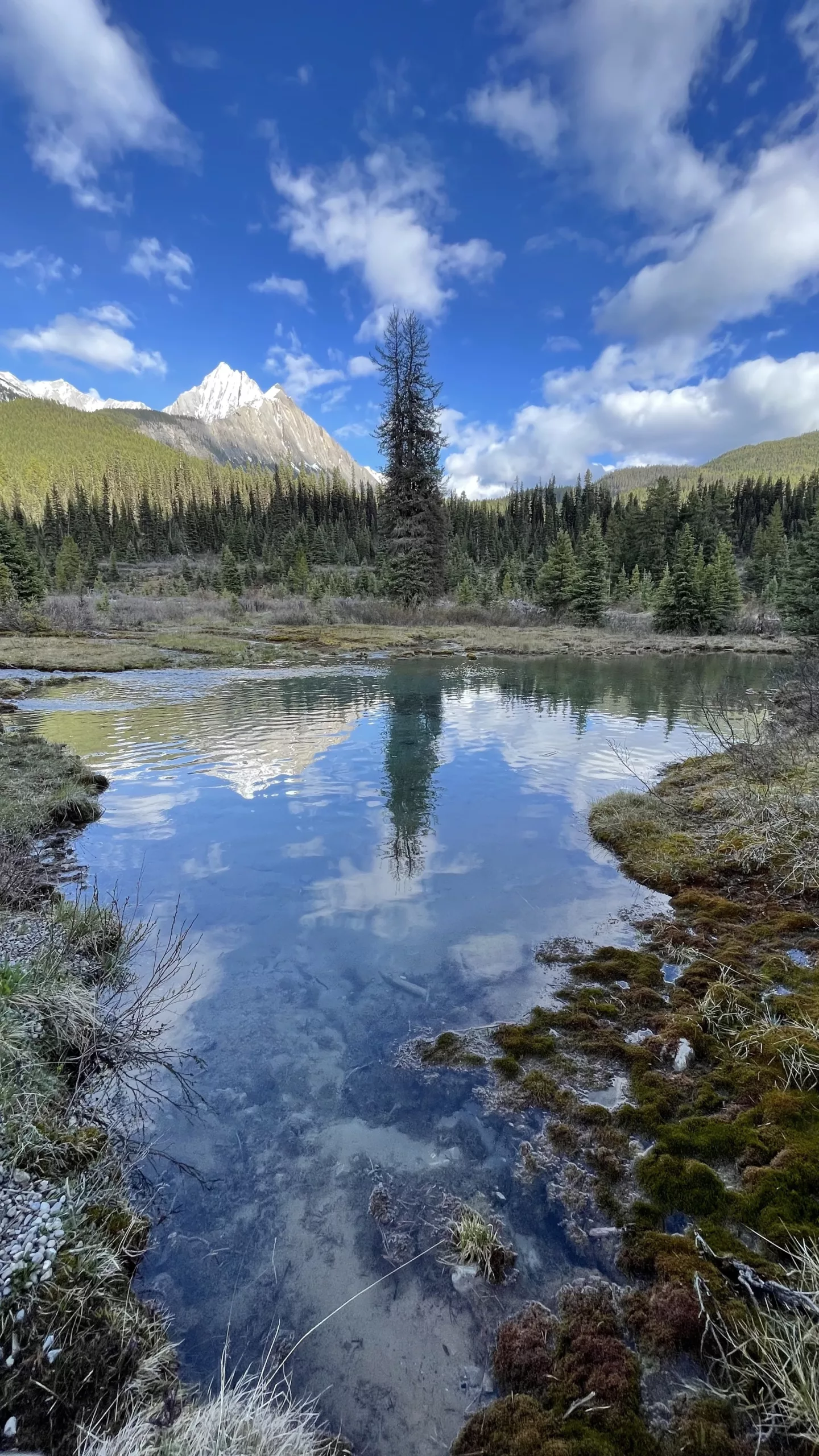 Le Monde de Chloé © 2024 | Canada | Alberta | Banff