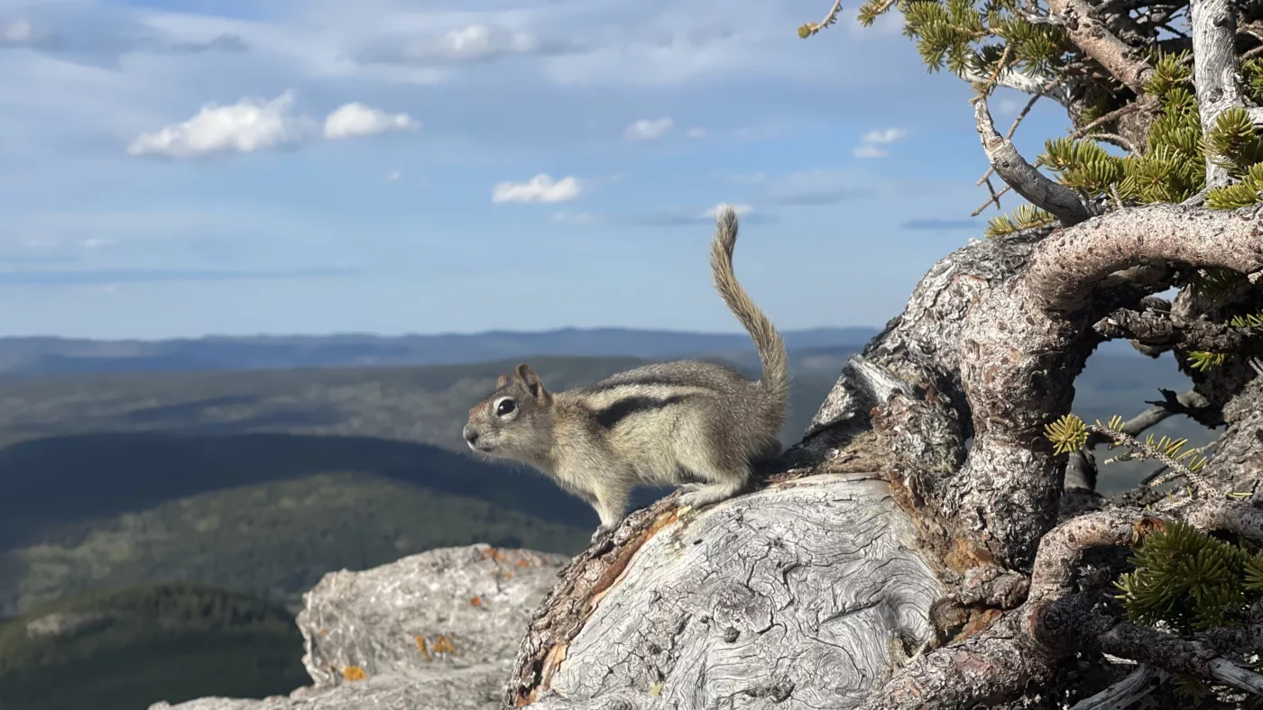 Kananaskis | Alberta | Canmore | Mt Yamnuska | Canada | Le Monde de Chloé | Randonnées et Voyages Aventures | Randonnée