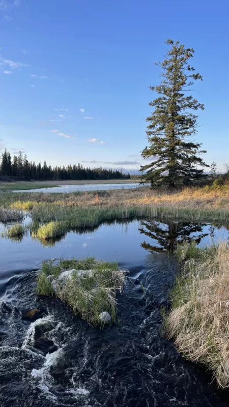 Parc National du Mont-Riding | Manitoba | Canada | Trans Canada | Le Monde de Chloé | Randonnée | Voyage Aventure