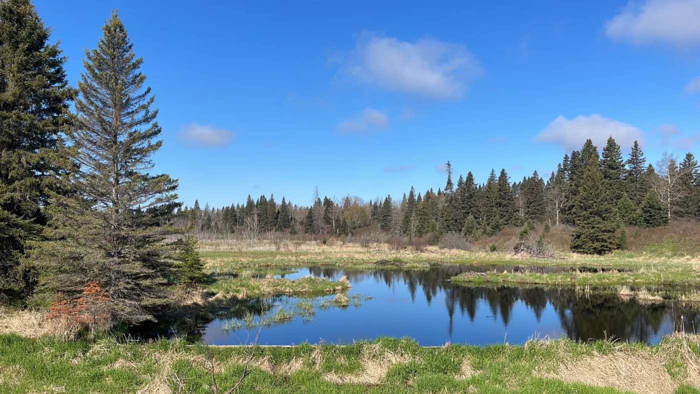 Parc National du Mont-Riding | Manitoba | Canada | Trans Canada | Le Monde de Chloé | Randonnée | Voyage Aventure