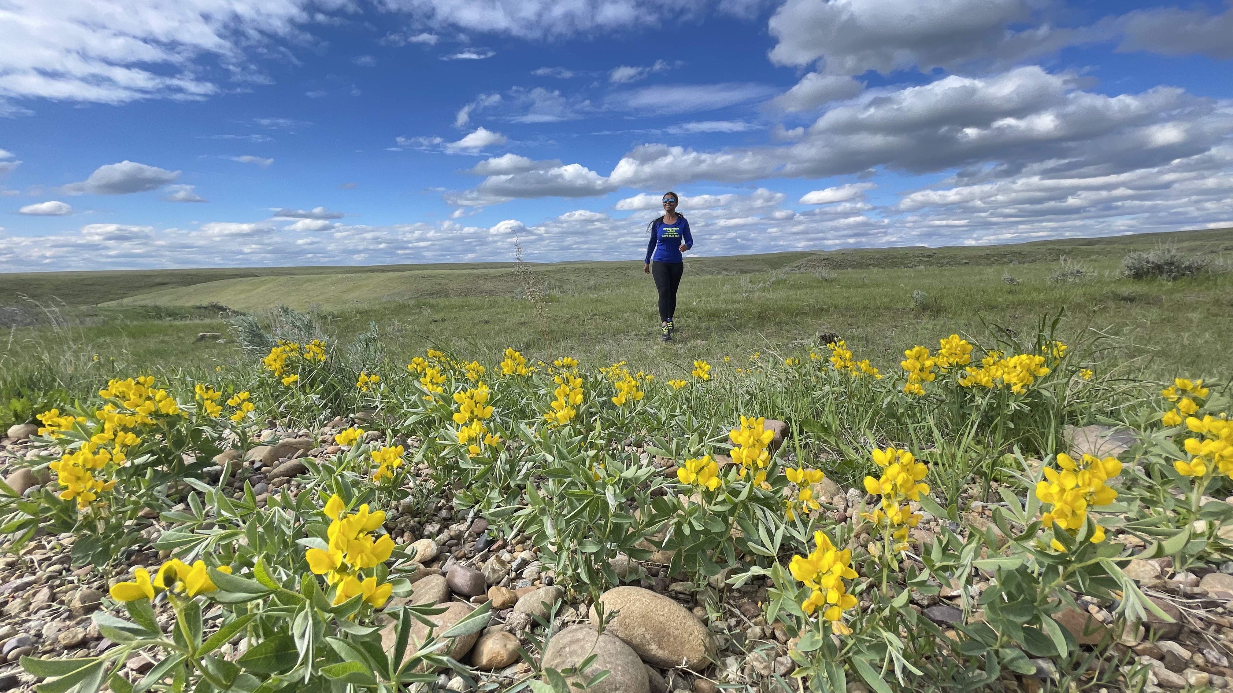 Parc National des Parairies | Grasslands | Saskatchewan | Canada | Trans Canada | Le Monde de Chloé | Randonnée | Voyage Aventure