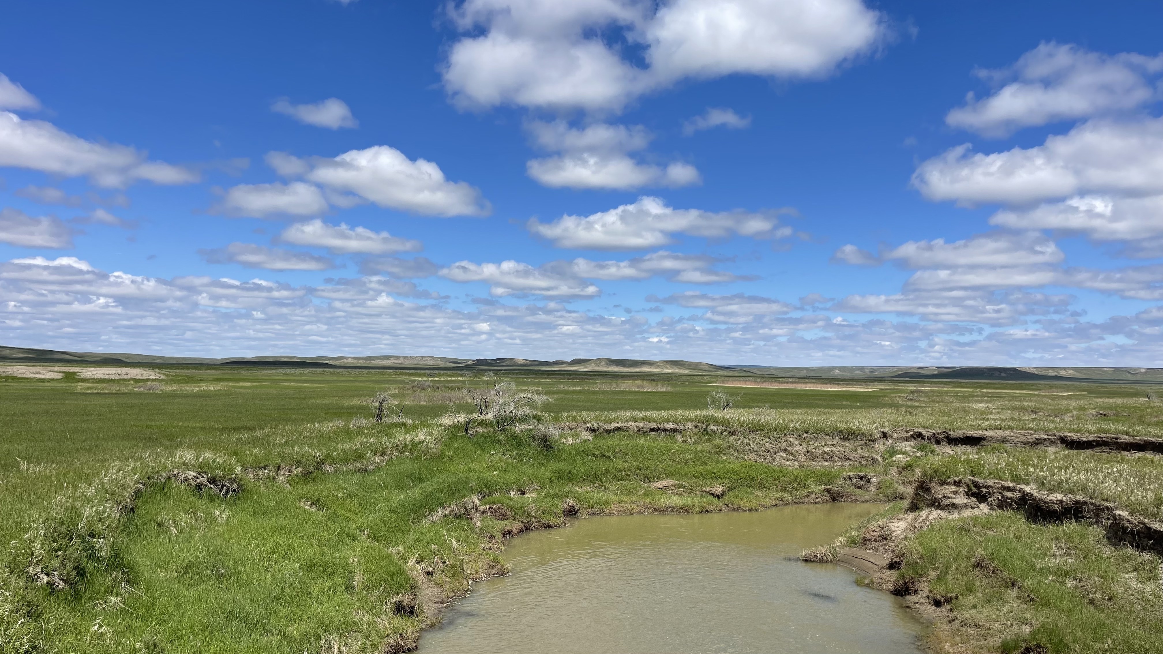 Parc National des Parairies | Grasslands | Saskatchewan | Canada | Trans Canada | Le Monde de Chloé | Randonnée | Voyage Aventure