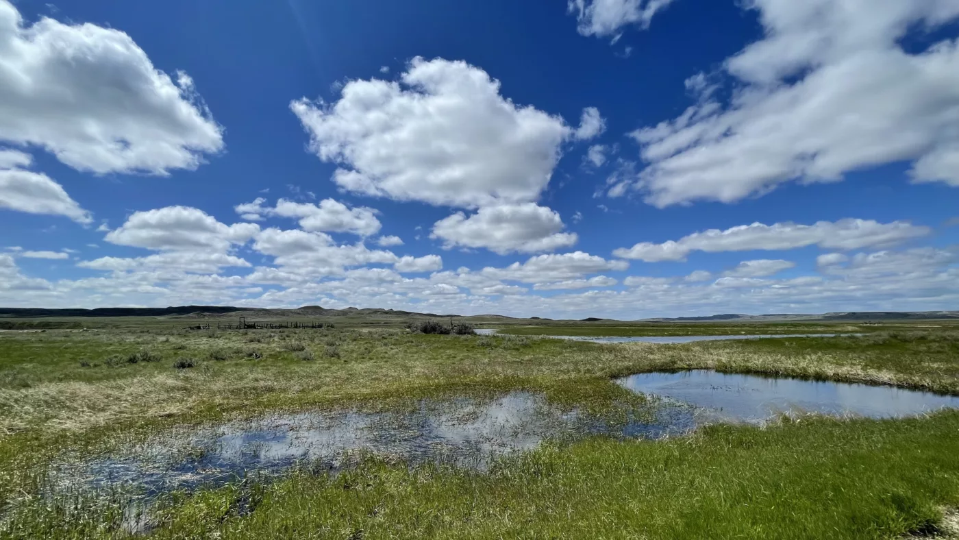 Parc National des Parairies | Grasslands | Saskatchewan | Canada | Trans Canada | Le Monde de Chloé | Randonnée | Voyage Aventure