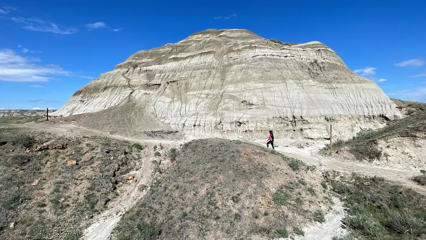 Dinosaur Park | Dinosaure Parc | Alberta | Canada | Road Trip | Trans Canada | Le Monde de Chloé | Randonnée | Voyage Aventure