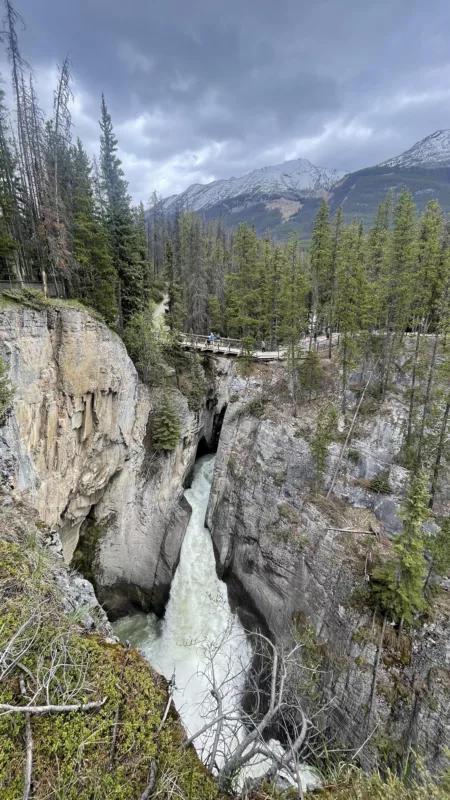 Sunwapta falls | Parc National Jasper | Alberta | Canada | Trans Canada | Le Monde de Chloé | Randonnée | Voyage Aventure