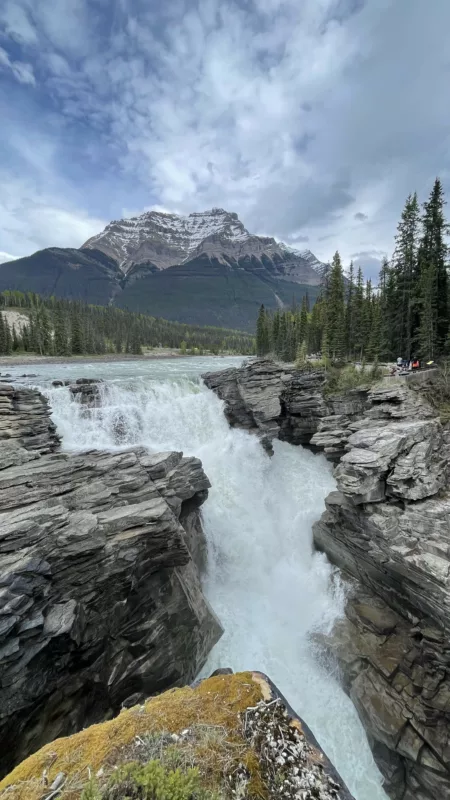 Athabasca Falls | Parc National Jasper | Alberta | Canada | Trans Canada | Le Monde de Chloé | Randonnée | Voyage Aventure