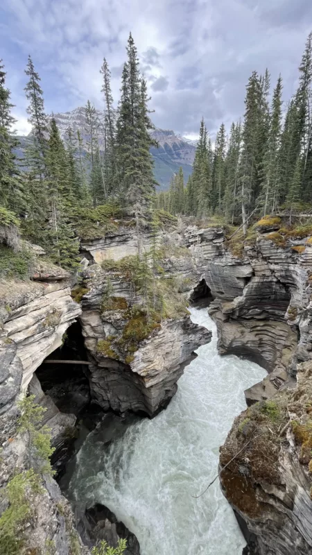 Athabasca Falls | Parc National Jasper | Alberta | Canada | Trans Canada | Le Monde de Chloé | Randonnée | Voyage Aventure