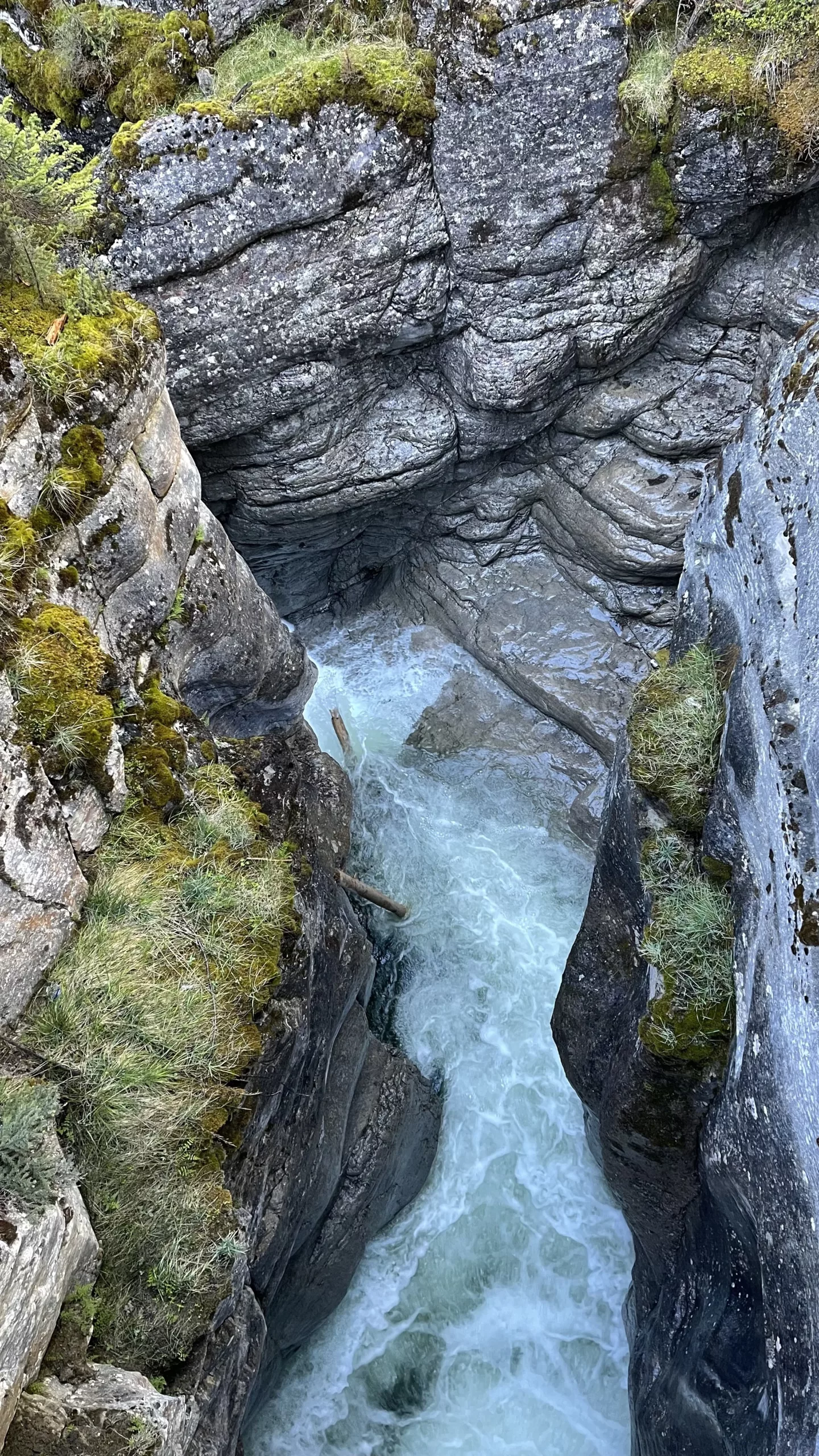 Maligne Canyon | Parc National Jasper | Alberta | Canada | Trans Canada | Le Monde de Chloé | Randonnée | Voyage Aventure