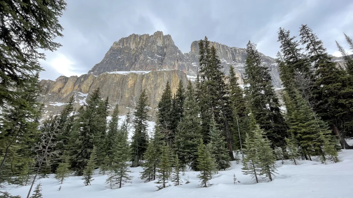 Castel Mountain | Parc National de Banff | Alberta | Canada | Road Trip | Le Monde de Chloé | Randonnée | Voyage Aventure