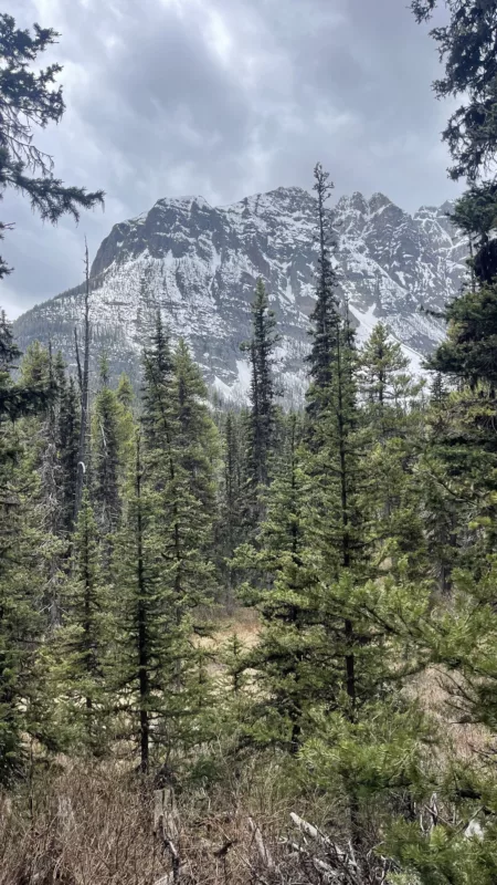 Boom Lake | Lac Boom | Alberta | Parc National de Banff | Randonnée | Le Monde de Chloé | Road Trip