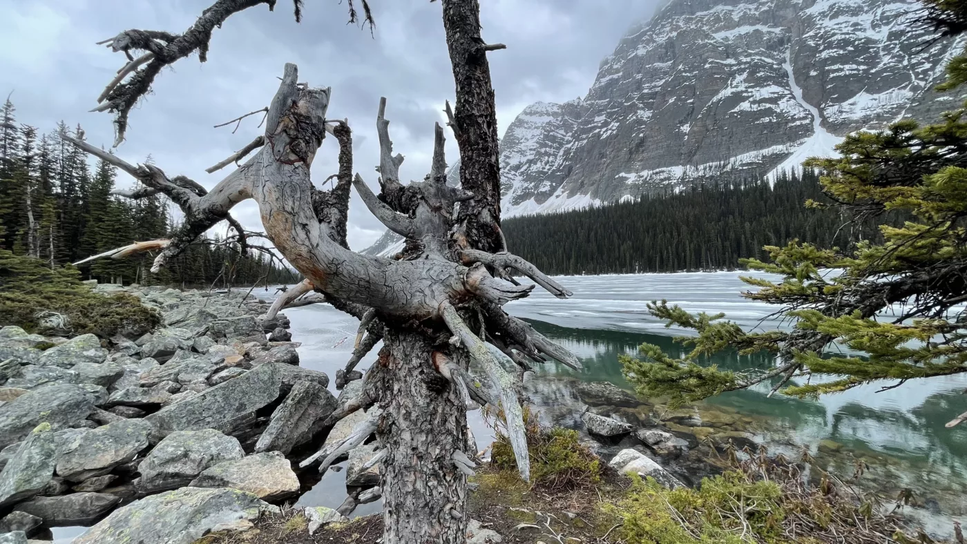 Boom Lake | Lac Boom | Alberta | Parc National de Banff | Randonnée | Le Monde de Chloé | Road Trip