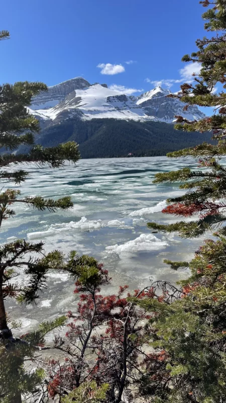 Icefields Parkway | Trans Canada | Transcanadienne | Lac Bow | Alberta | Parc national de Banff | Le Monde de Chloé