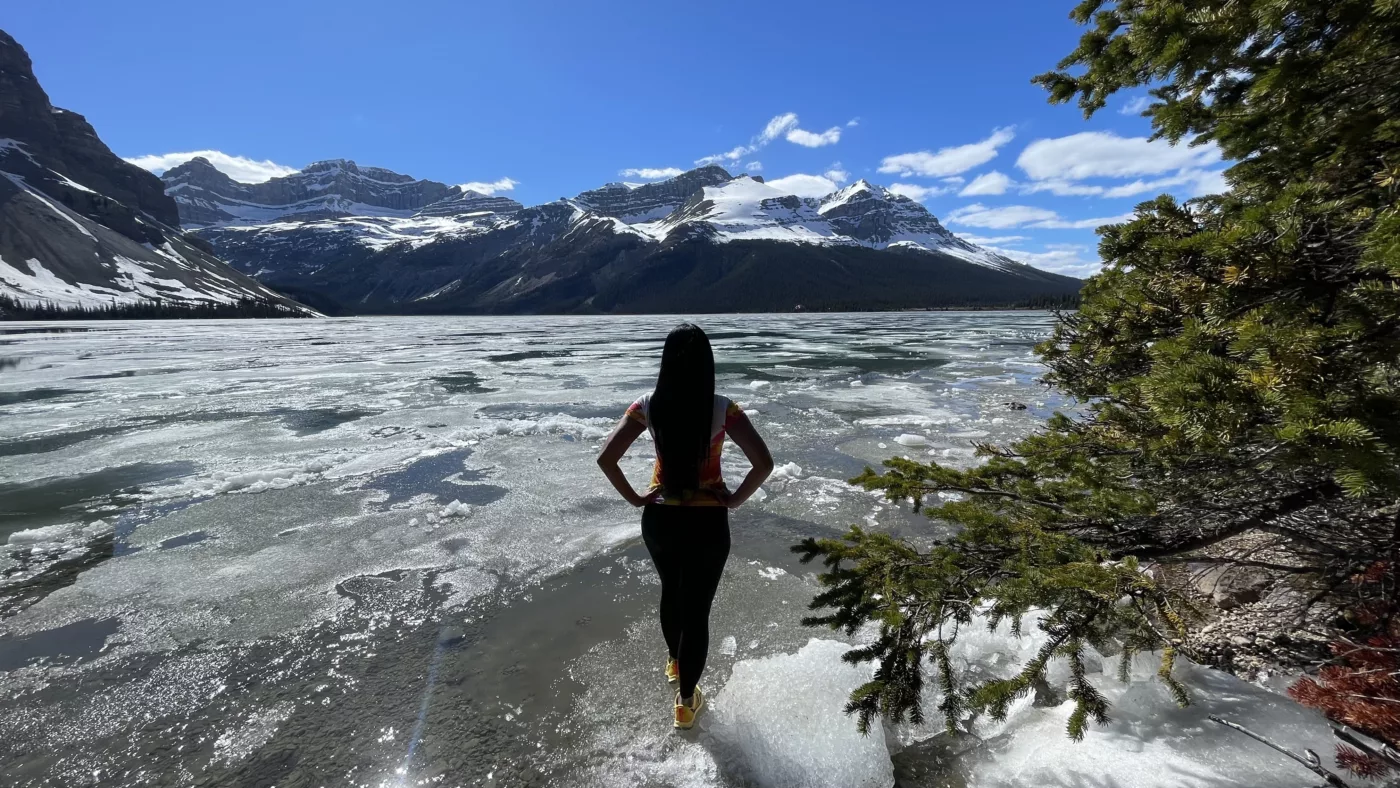 Icefields Parkway | Trans Canada | Transcanadienne | Lac Bow | Alberta | Parc national de Banff | Le Monde de Chloé