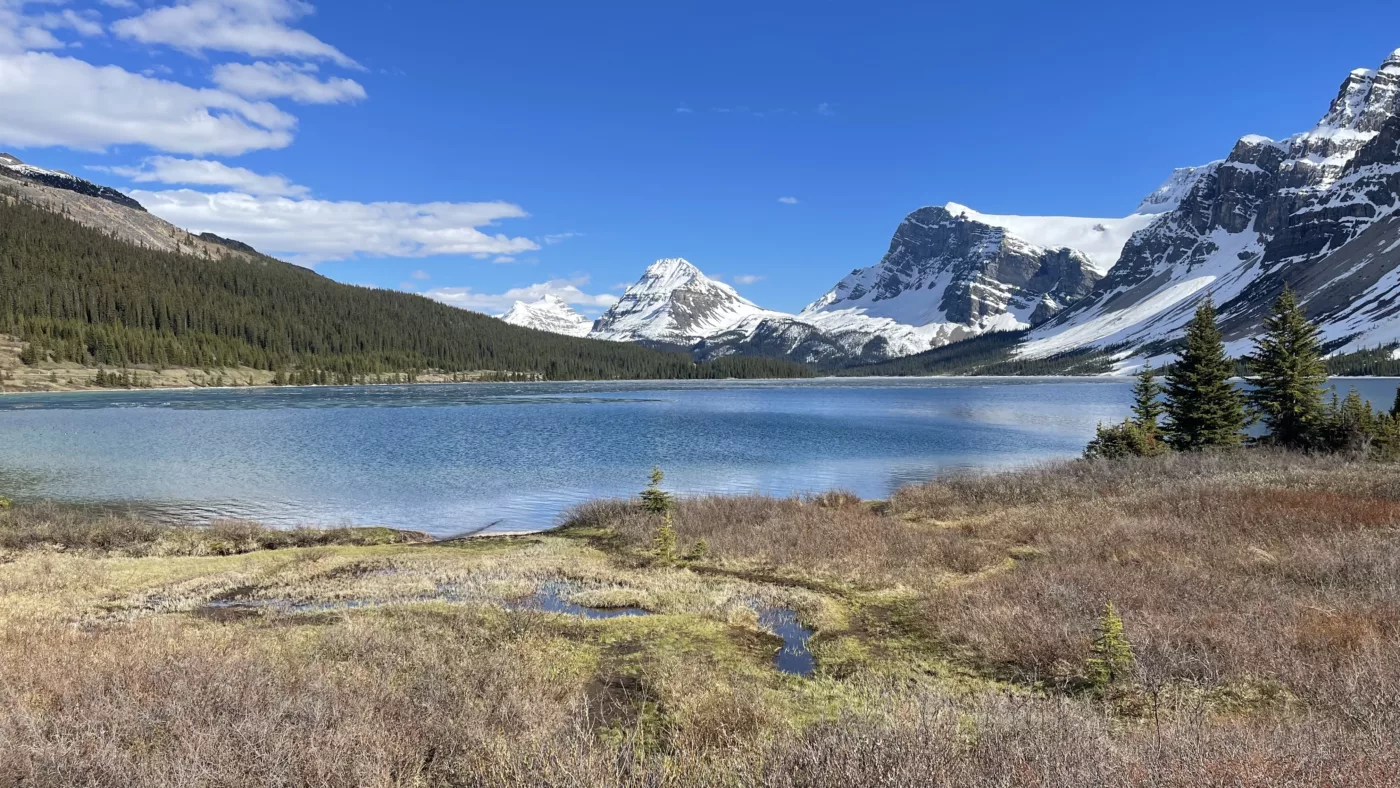 Icefields Parkway | Trans Canada | Transcanadienne | Lac Bow | Alberta | Parc national de Banff | Le Monde de Chloé