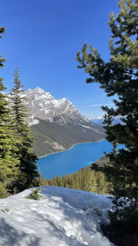 Peyto lake | Icefield Parkway | Columbia Icefield | Alberta | Canada | Trans Canada | Le Monde de Chloé | Randonnée | Voyage Aventure