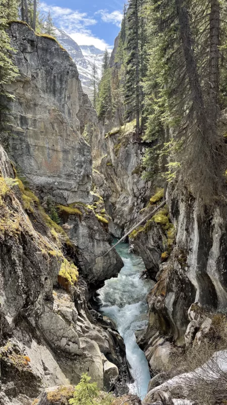 Icefield Parkway | Alberta | Canada | Parc National Jasper | Trans Canada | Le Monde de Chloé | Randonnée | Voyage Aventure