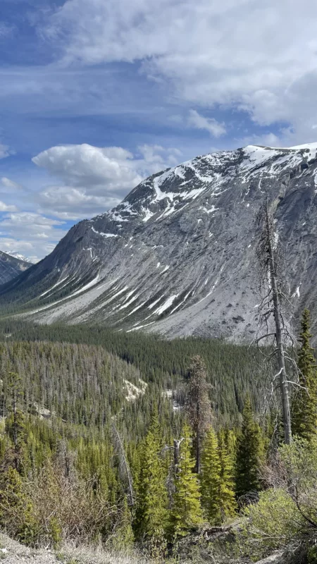 Icefield Parkway | Alberta | Canada | Parc National Jasper | Trans Canada | Le Monde de Chloé | Randonnée | Voyage Aventure