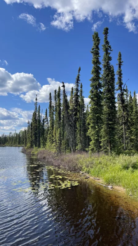 Alaska Highway | Colombie-Britannique | Canada | Trans Canada | Transcanadienne | Le Monde de Chloé | Voyage Aventure