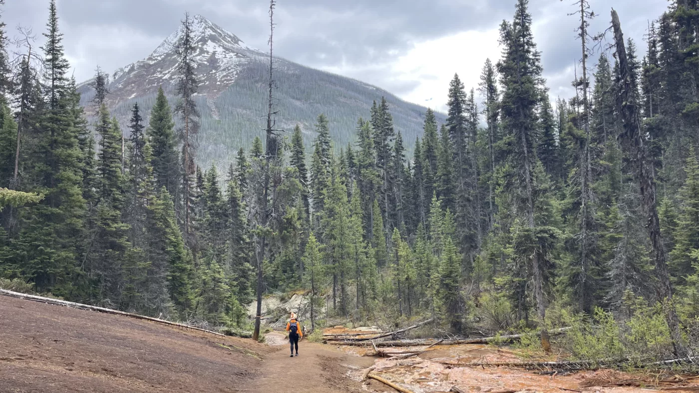 Parc National de Kootenay | Colombie-Britannique | Canada | Le Monde de Chloé | Randonnées et Voyages Aventures