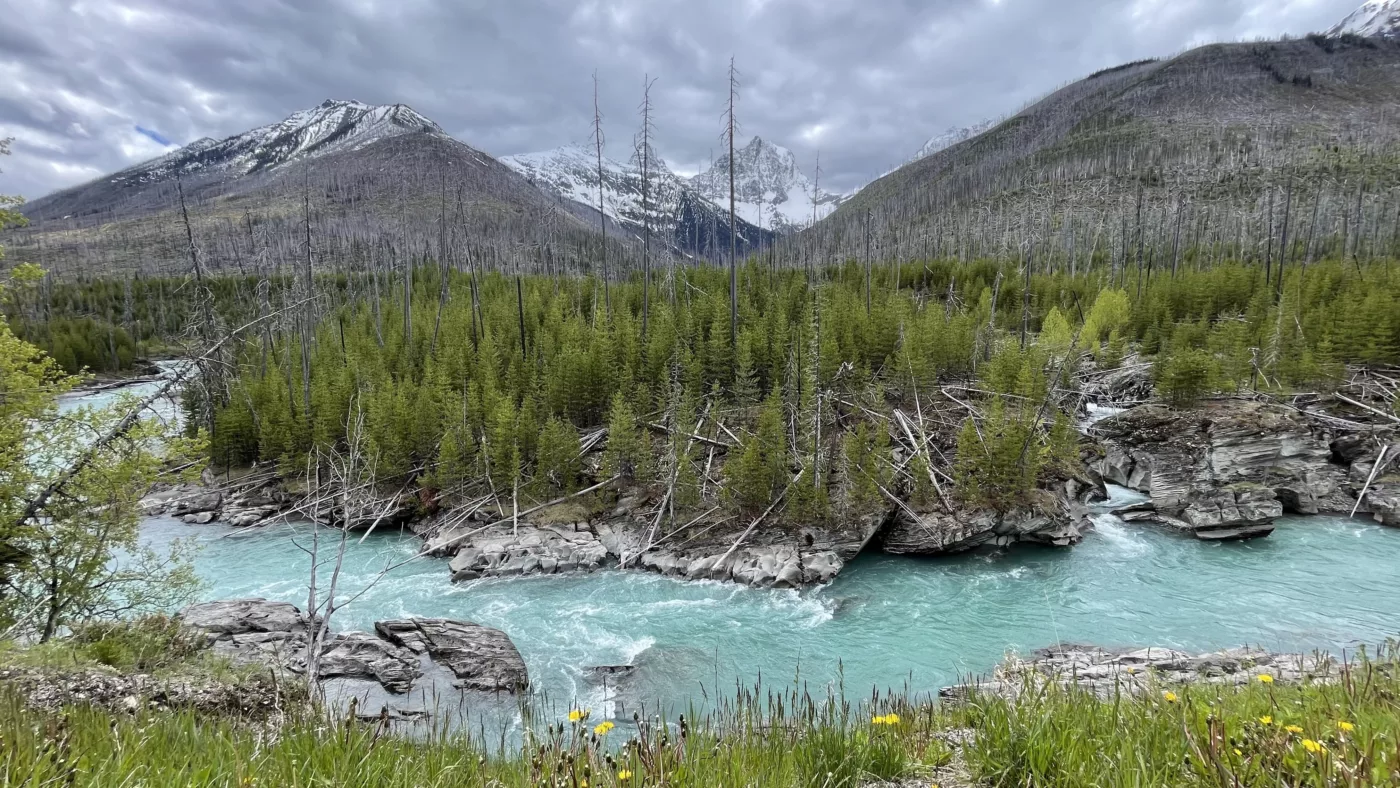 Parc National de Kootenay | Colombie-Britannique | Canada | Le Monde de Chloé | Randonnées et Voyages Aventures | Rivière