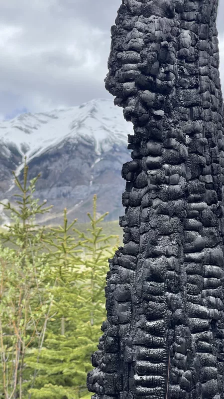 Parc National de Kootenay | Colombie-Britannique | Canada | Le Monde de Chloé | Randonnées et Voyages Aventures