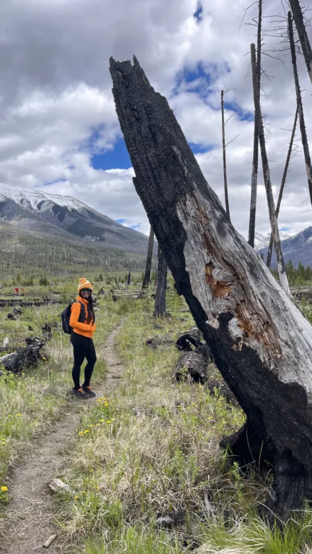 Parc National de Kootenay | Colombie-Britannique | Canada | Le Monde de Chloé | Randonnées et Voyages Aventures