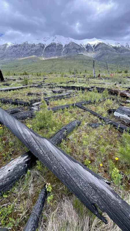 Parc National de Kootenay | Colombie-Britannique | Canada | Le Monde de Chloé | Randonnées et Voyages Aventures