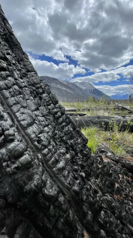 Parc National de Kootenay | Colombie-Britannique | Canada | Le Monde de Chloé | Randonnées et Voyages Aventures