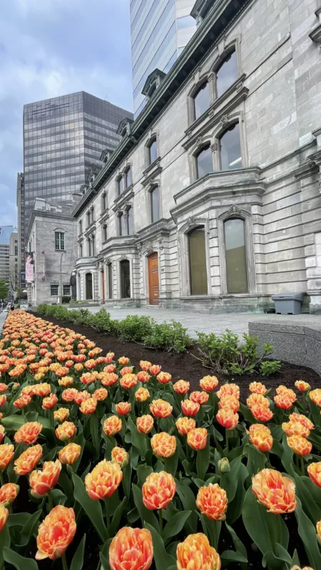 Montréal | Québec | Canada | Trans Canada | Transcanadienne | Le Monde de Chloé |  Voyage Aventure