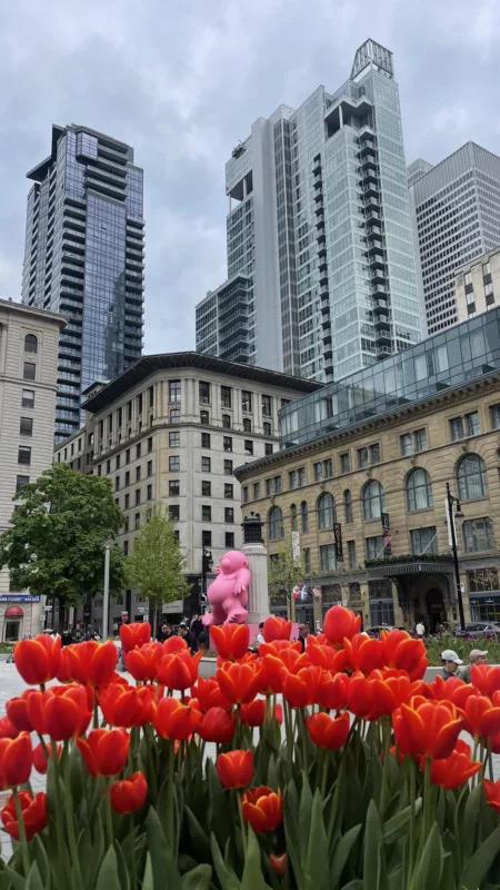 Montréal | Québec | Canada | Trans Canada | Transcanadienne | Le Monde de Chloé |  Voyage Aventure