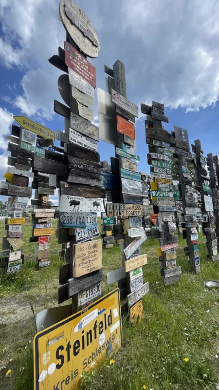 Alaska Highway | Yukon | Watson Lake | Sign Post Forest | Canada | Trans Canada | Transcanadienne | Bison | Le Monde de Chloé |  Voyage Aventure