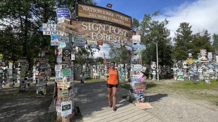 Alaska Highway | Yukon | Watson Lake | Sign Post Forest | Canada | Trans Canada | Transcanadienne | Bison | Le Monde de Chloé |  Voyage Aventure