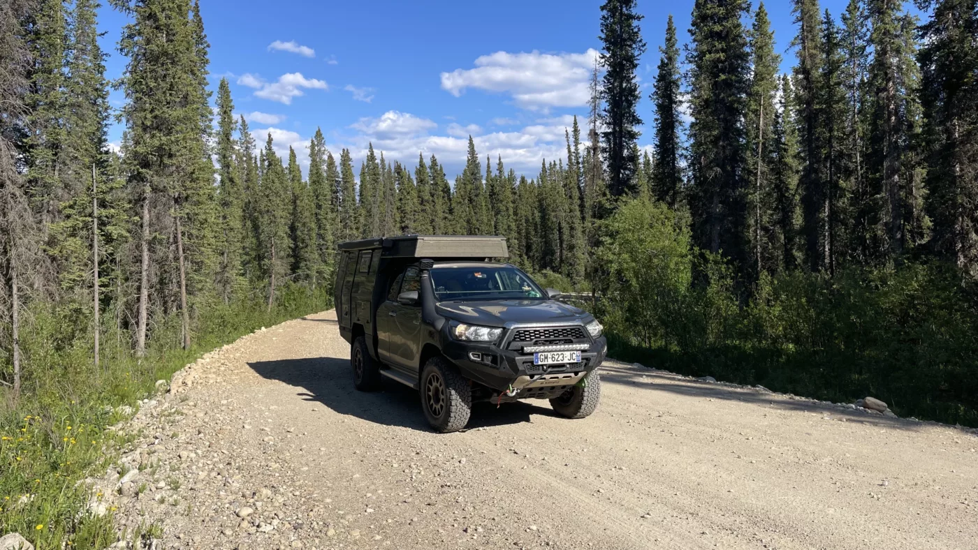 Alaska Highway | Yukon | | Canada | Trans Canada | Transcanadienne | Bison | Le Monde de Chloé |  Voyage Aventure | Thinux 4x4 celulle aménagée