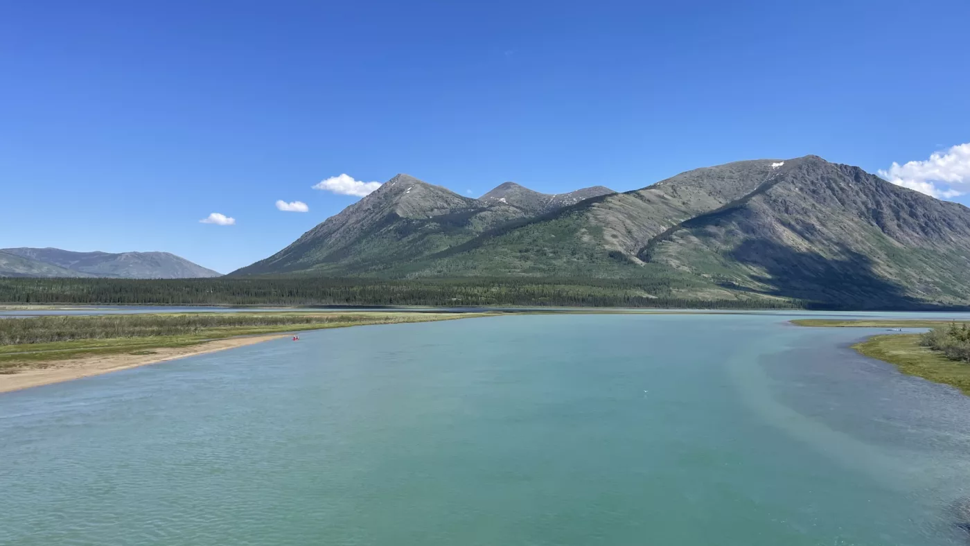 Carcross | Yukon | Nares lake | Canada | Trans Canada | Transcanadienne | Bison | Le Monde de Chloé |  Voyage Aventure