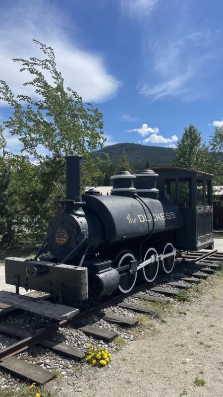 Carcross | Yukon | Canada | Trans Canada | Transcanadienne | Bison | Le Monde de Chloé |  Voyage Aventure