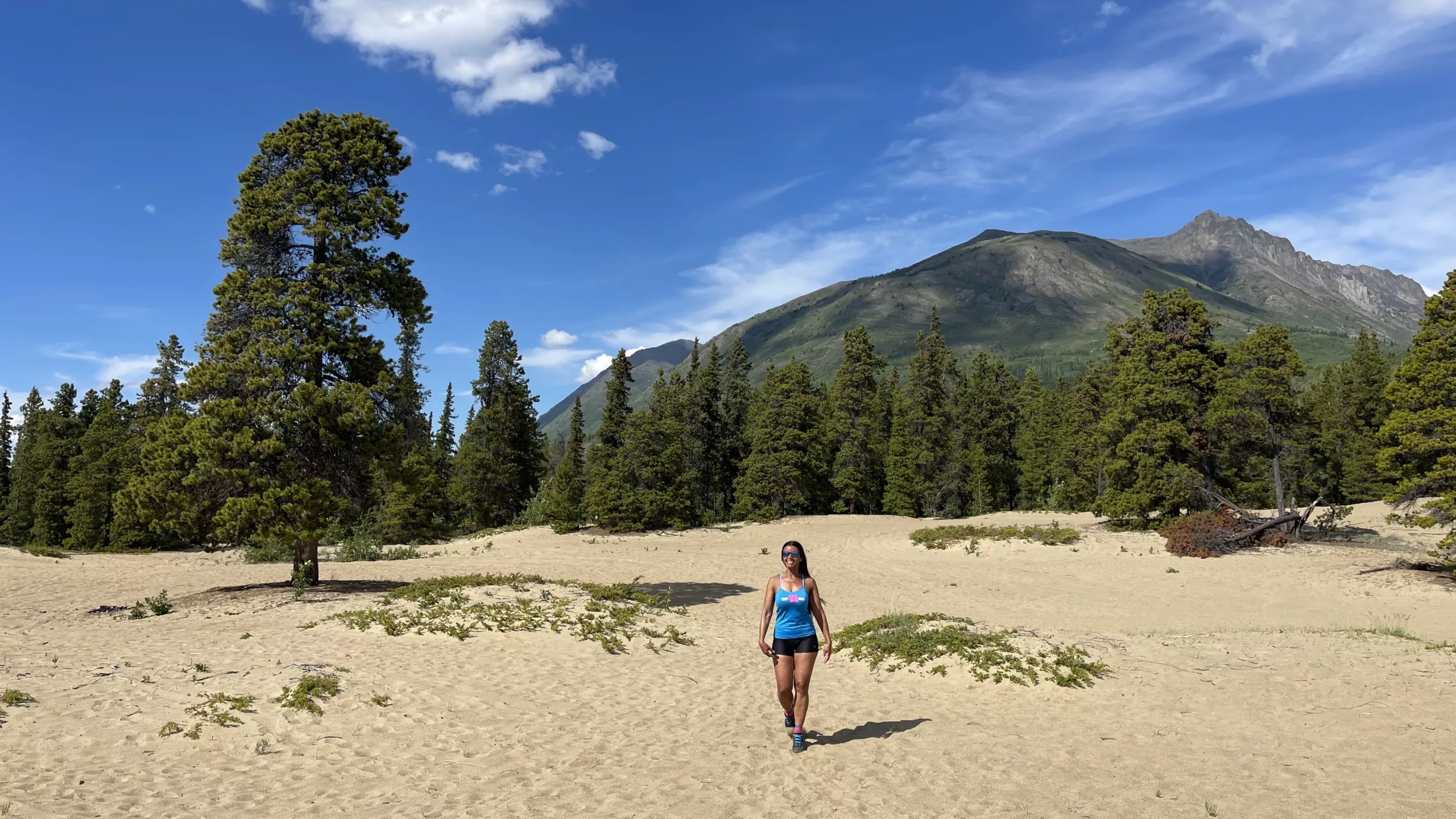 Désert de Carcross | Yukon | Carcross Desert | Canada | Trans Canada | Transcanadienne | Bison | Le Monde de Chloé |  Voyage Aventure