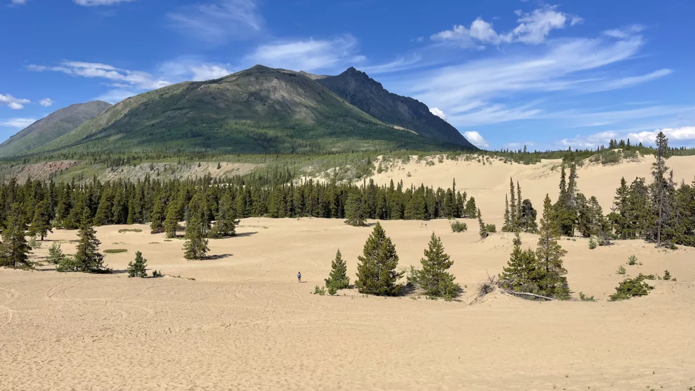 Carcross | Yukon | Désert | Canada | Trans Canada | Transcanadienne | Voyage Aventure