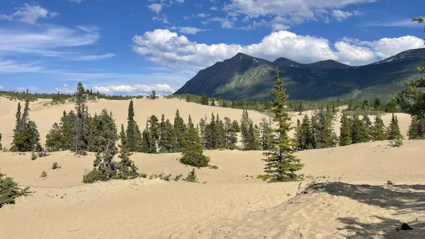 Carcross | Yukon | Désert | Canada | Trans Canada | Transcanadienne | Voyage Aventure