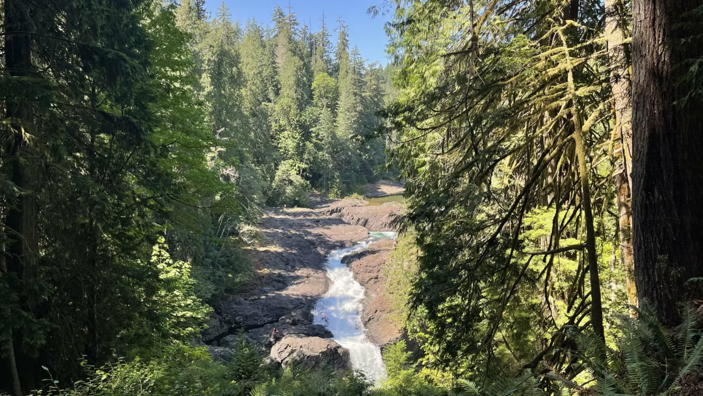 Le Monde de Chloé | Elk Falls | île de Vancouver | Colombie-Britannique | Canada | Cascade | Pont Suspendu