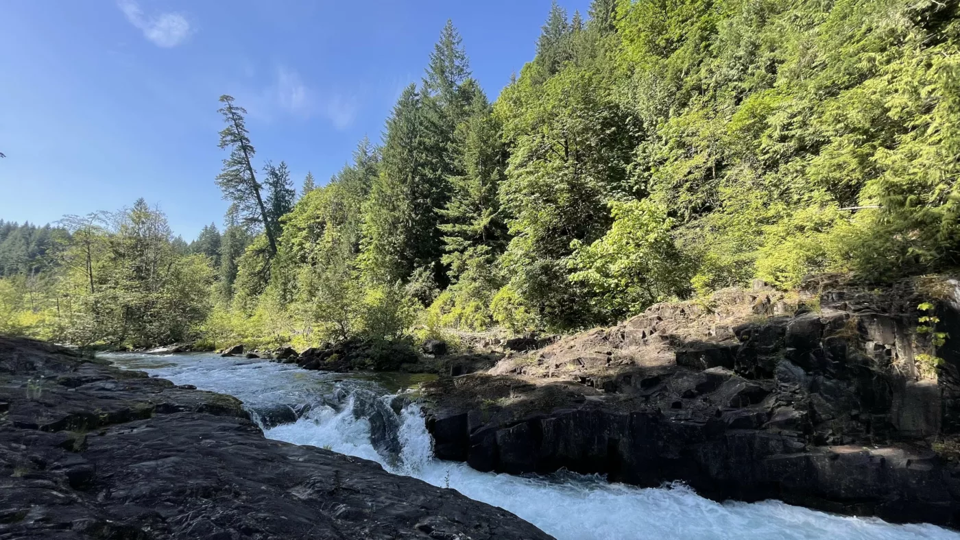 Le Monde de Chloé | Elk Falls | île de Vancouver | Colombie-Britannique | Canada | Cascade | Pont Suspendu