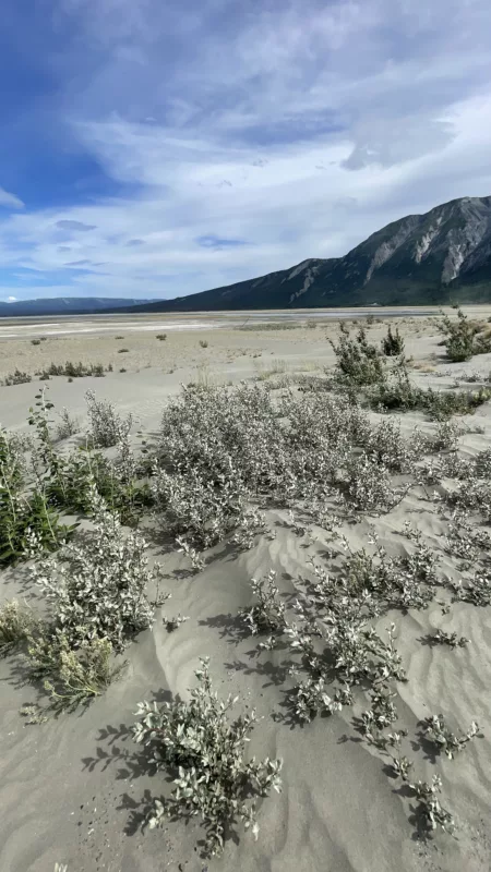 Le Monde de Chloé | Canada | Yukon | Road Trip au Canada | Trans Canada | Trans Canadienne | Kluane