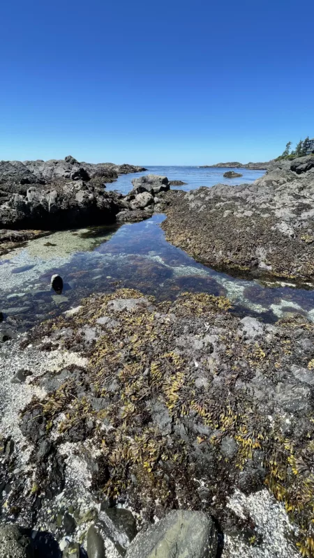 Le Monde de Chloé | | Canada | Ucluelet | Pacific Rim National Park | Colombie-Britannique