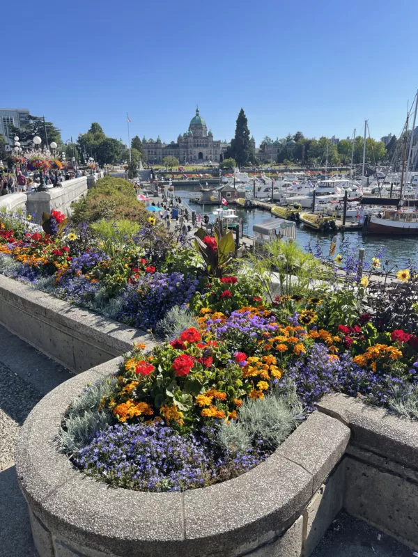 Le Monde de Chloé | Victoria | île de Vancouver | Colombie-Britannique | Canada