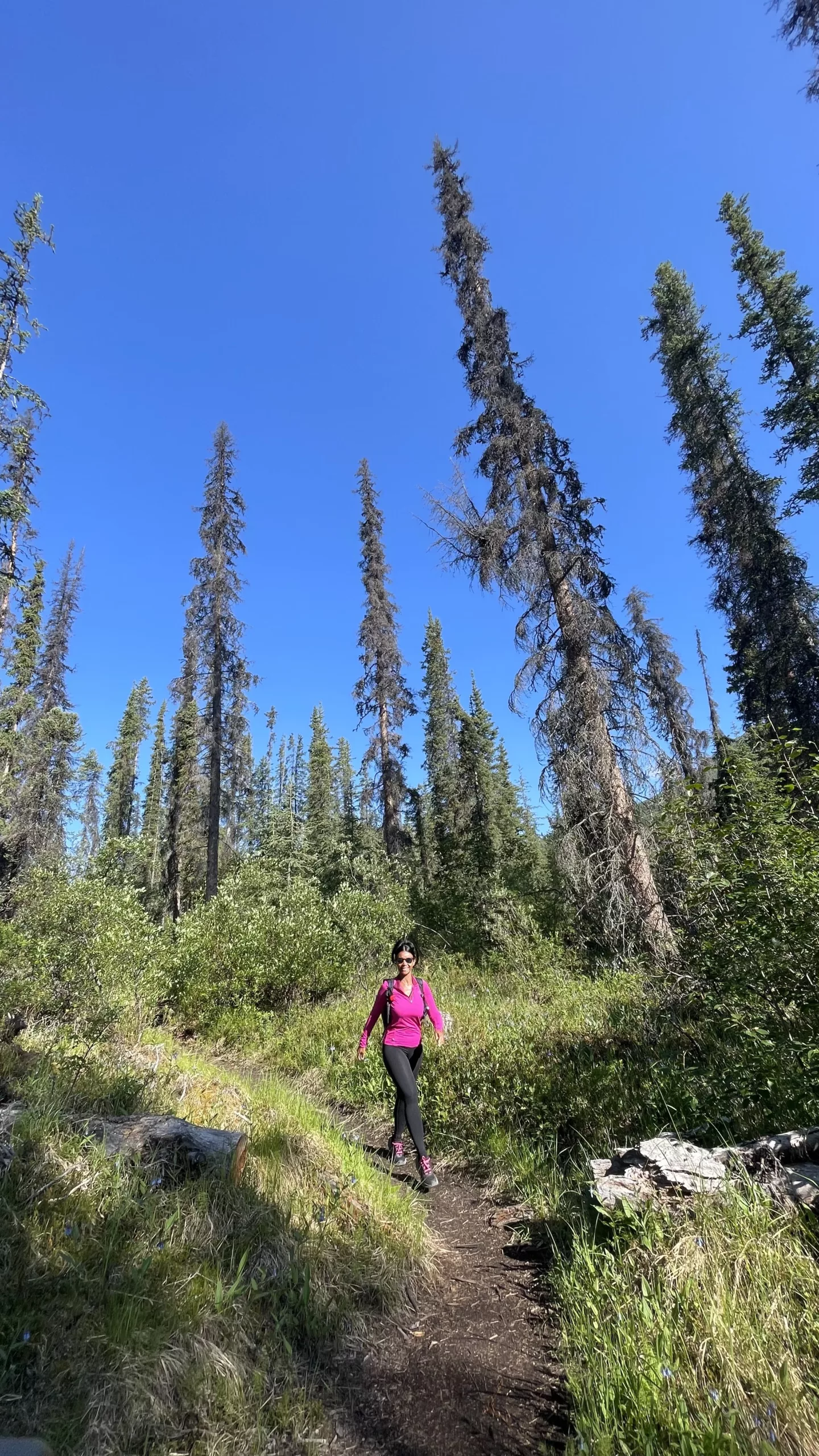 Dempster Highway | Yukon | Tombstone Territorial Park | Randonnée au Grizzly Lake | Canada | Trans Canada | Transcanadienne | Voyage Aventure | Le Monde de Chloé