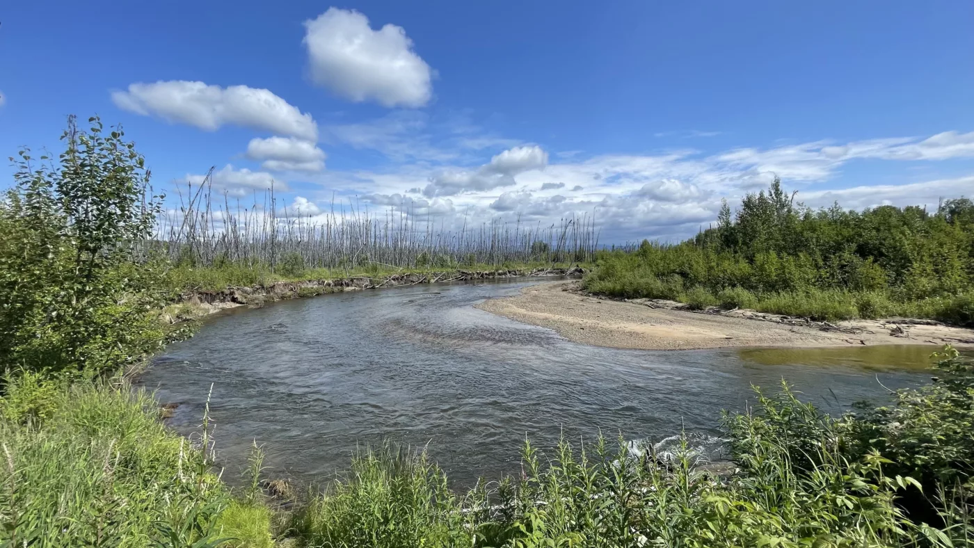 Alaska | Into The Wild | Parc National du Denali | USA | Fairbanks | Trans America | Panaméricaine | Voyage Aventure | Le Monde de Chloé