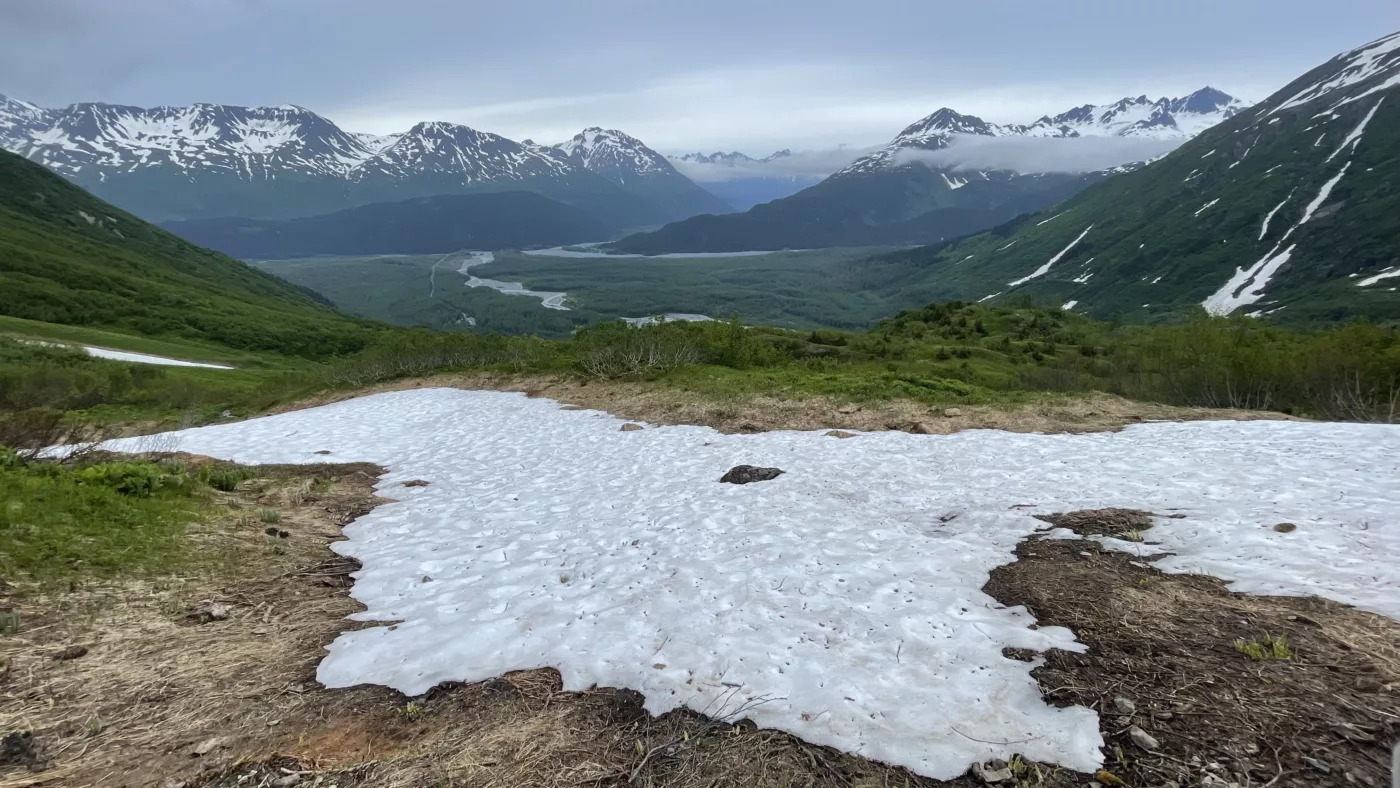 USA | Alaska | Harding icefield | Exit Glacier | Fjords National Park | Panaméricaine | Road-Trip en Amérique | Voyage Aventure | Le Monde de Chloé