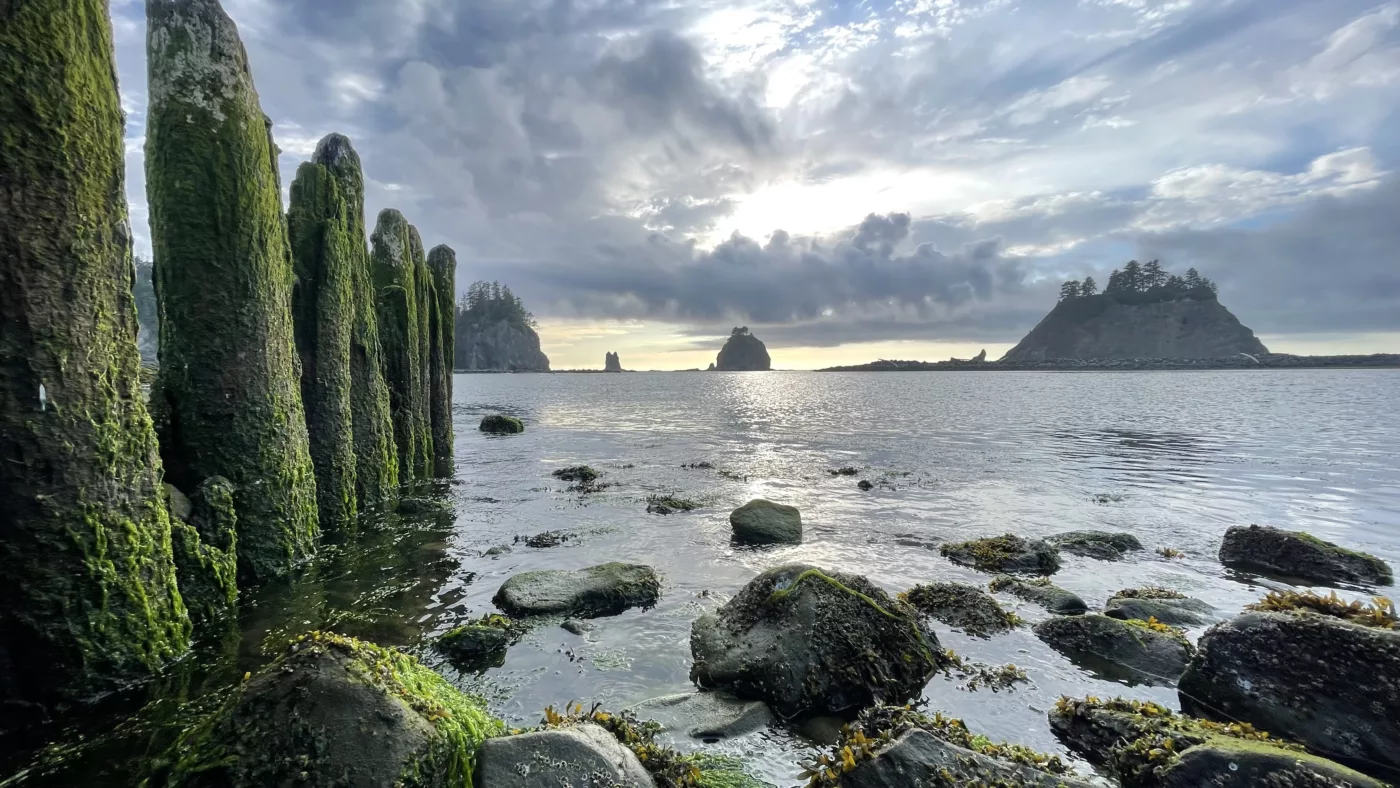 Le Monde de Chloé | | Parc National Olympique | La Push | Forks | Twilight | Washington | USA