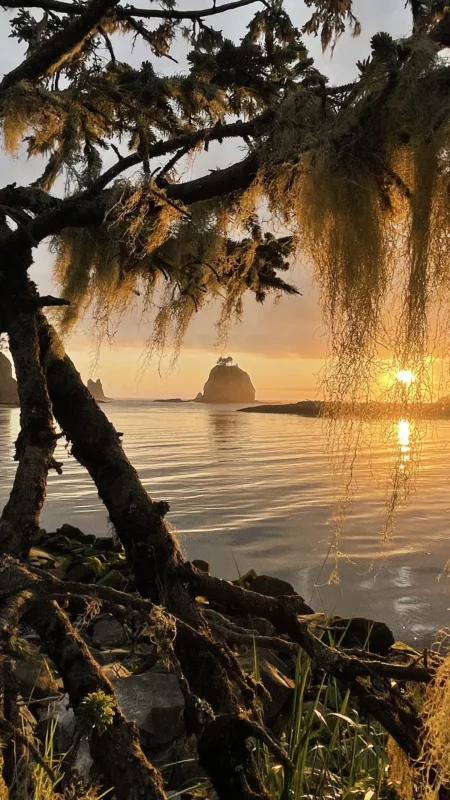 Le Monde de Chloé | | Parc National Olympique | La Push | Forks | Twilight | Washington | USA